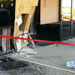 Storefront Repair